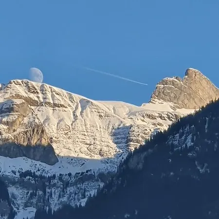 ديانا ليكفرونت شقة