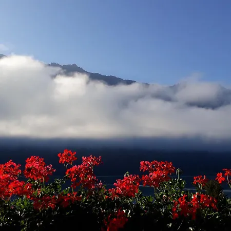 ديانا ليكفرونت