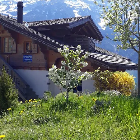 Diana Lakefront Ringgenberg