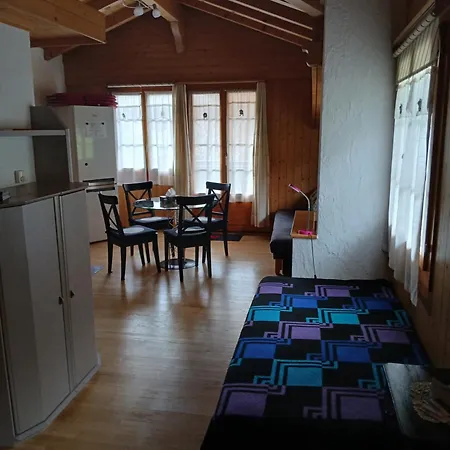 Diana Lakefront Apartment Ringgenberg