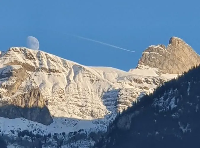 ديانا ليكفرونت شقة