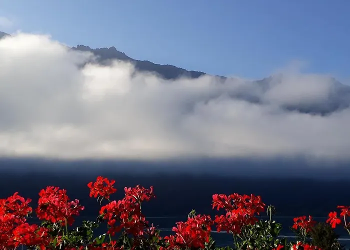 ديانا ليكفرونت