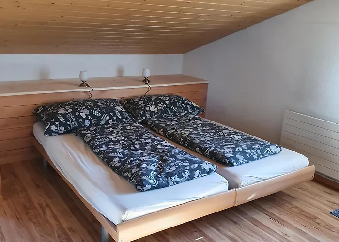 ديانا ليكفرونت شقة رينغنبرغ